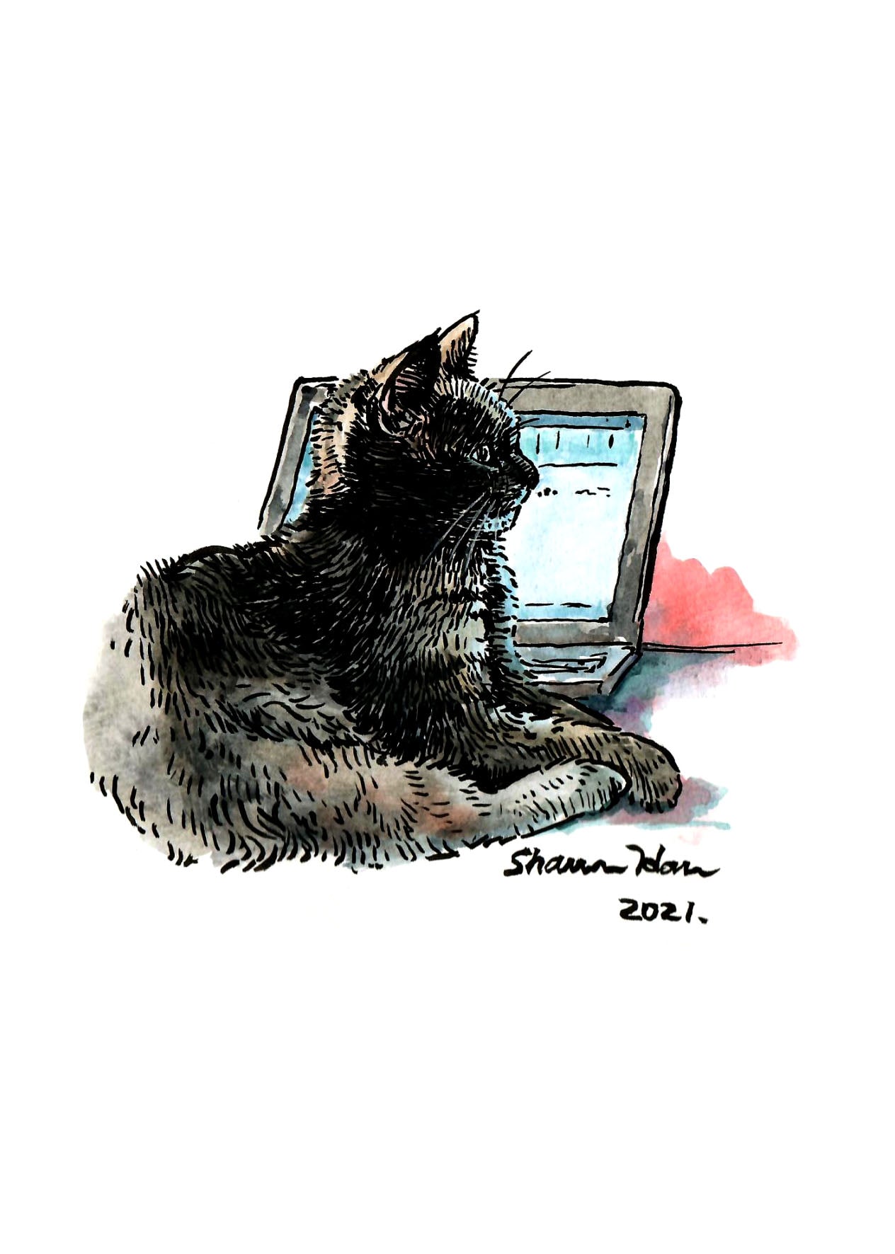 Postcard of black cat in front of computer