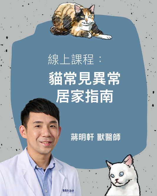 線上課程：獸醫蔣蔣話- 貓常見異常居家指南