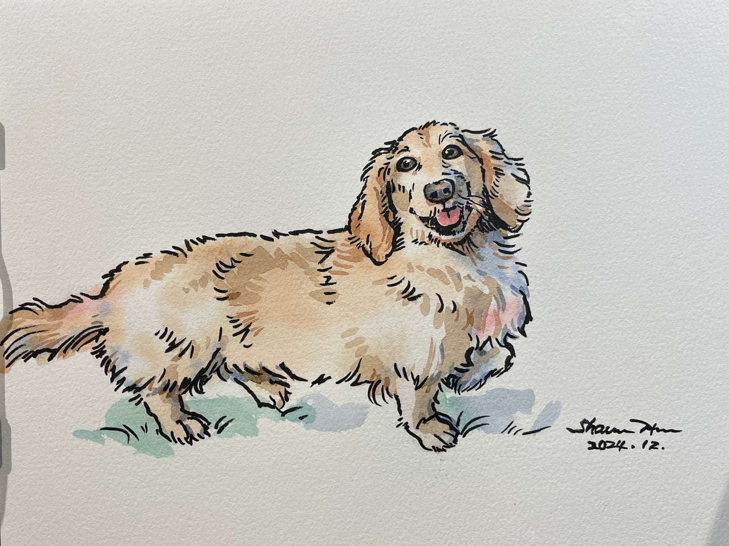 Shawn Han風格似顏繪 (實體/線上) Shawn Han's Live Protrait for your pet (In-person/Virtual)